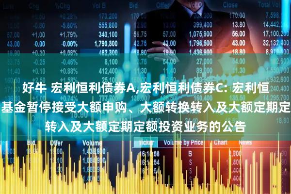 好牛 宏利恒利债券A,宏利恒利债券C: 宏利恒利债券型证券投资基金暂停接受大额申购、大额转换转入及大额定期定额投资业务的公告