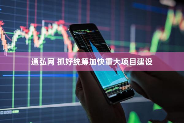 通弘网 抓好统筹加快重大项目建设