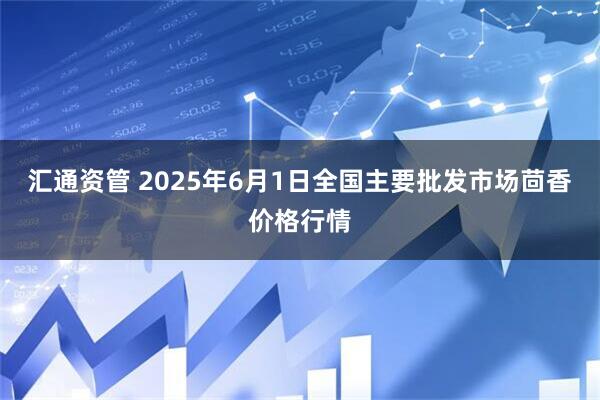 汇通资管 2025年6月1日全国主要批发市场茴香价格行情