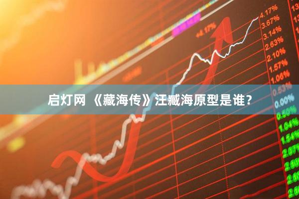 启灯网 《藏海传》汪臧海原型是谁？