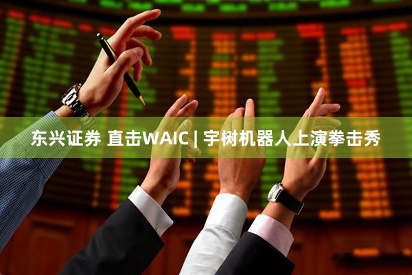 东兴证券 直击WAIC | 宇树机器人上演拳击秀