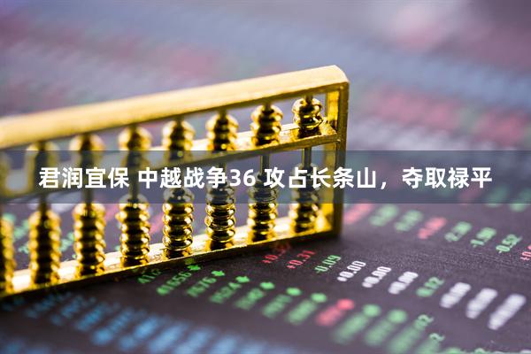 君润宜保 中越战争36 攻占长条山，夺取禄平