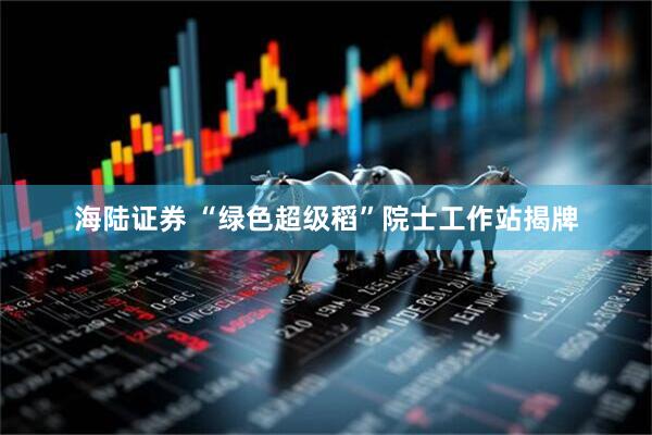 海陆证券 “绿色超级稻”院士工作站揭牌