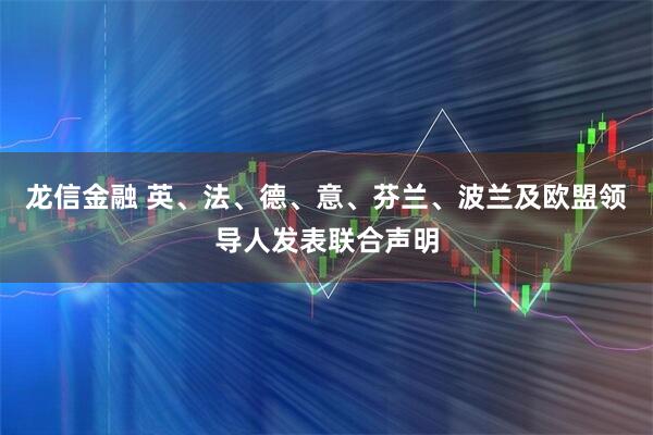 龙信金融 英、法、德、意、芬兰、波兰及欧盟领导人发表联合声明